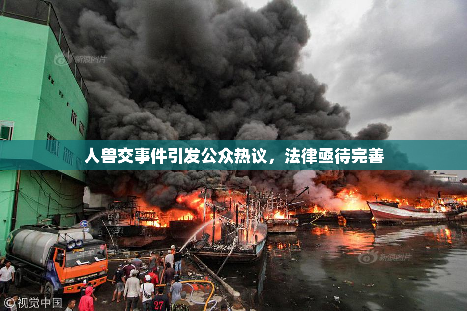 人兽交事件引发公众热议，法律亟待完善