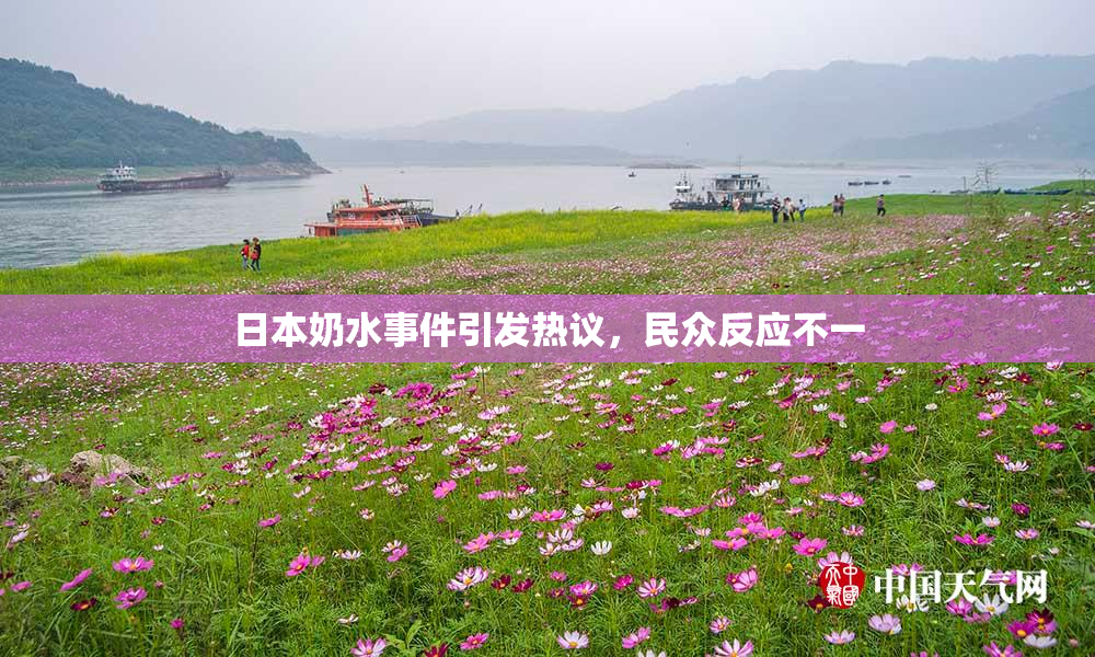 日本奶水事件引发热议，民众反应不一