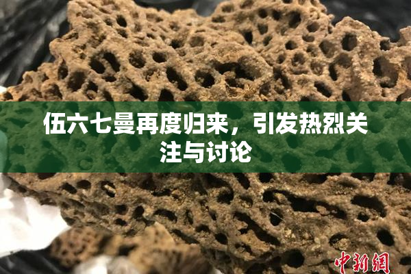 伍六七曼再度归来，引发热烈关注与讨论