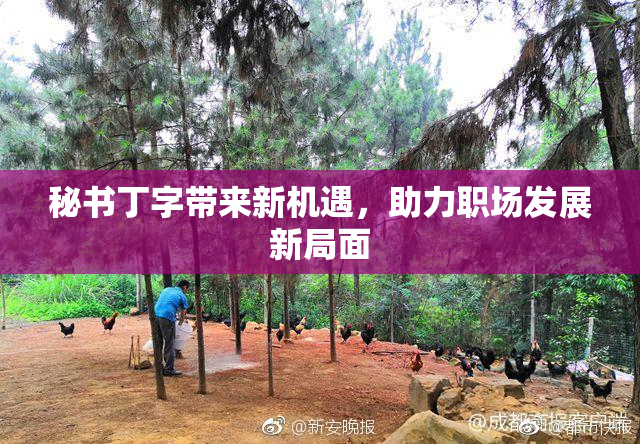 秘书丁字带来新机遇，助力职场发展新局面