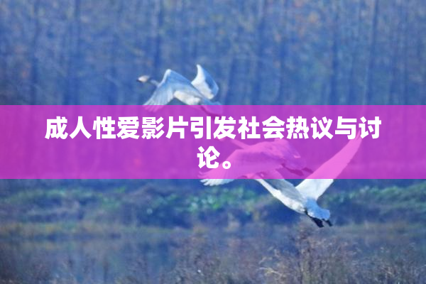 成人性爱影片引发社会热议与讨论。