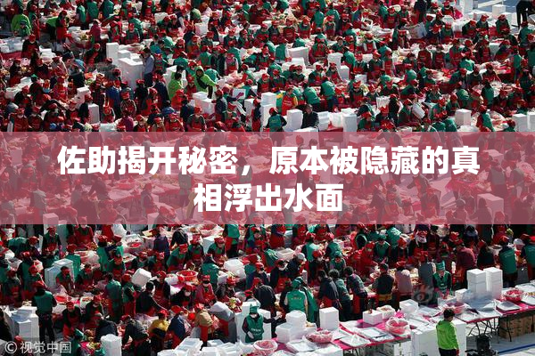 佐助揭开秘密，原本被隐藏的真相浮出水面