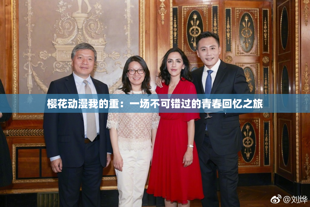 樱花动漫我的重：一场不可错过的青春回忆之旅