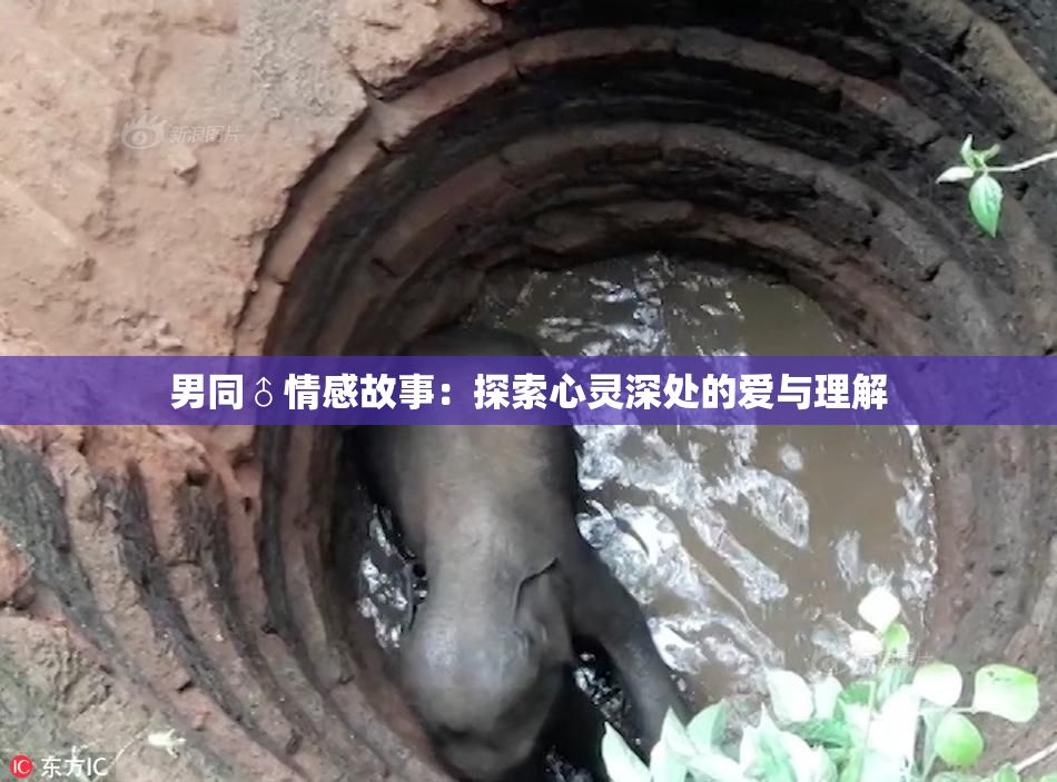 男同♂情感故事：探索心灵深处的爱与理解