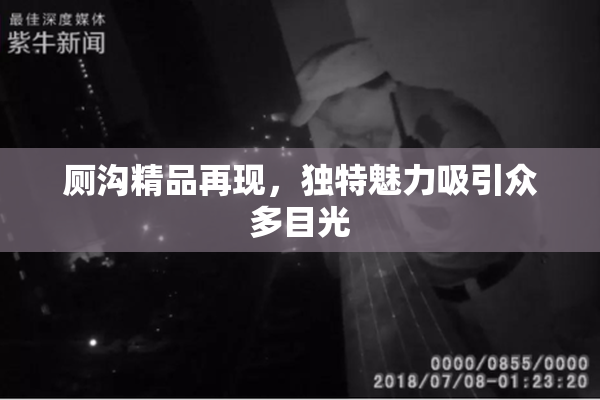 厕沟精品再现，独特魅力吸引众多目光