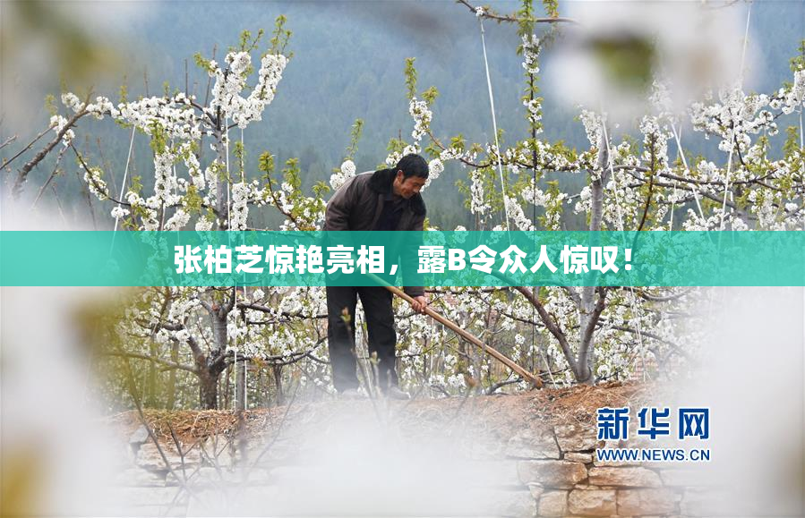 张柏芝惊艳亮相，露B令众人惊叹！