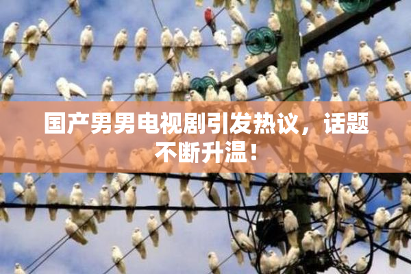 国产男男电视剧引发热议，话题不断升温！