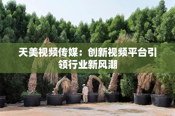 天美视频传媒：创新视频平台引领行业新风潮