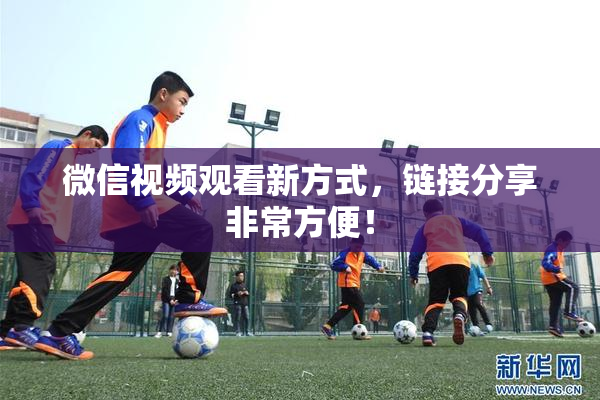 微信视频观看新方式，链接分享非常方便！