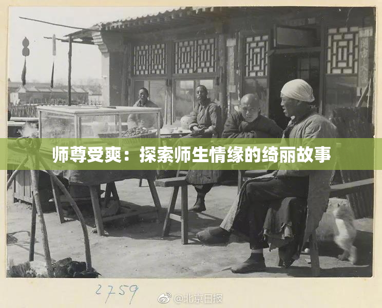 师尊受爽：探索师生情缘的绮丽故事