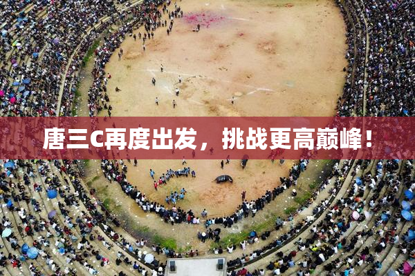 唐三C再度出发，挑战更高巅峰！