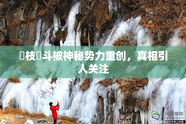 狛枝凪斗被神秘势力重创，真相引人关注