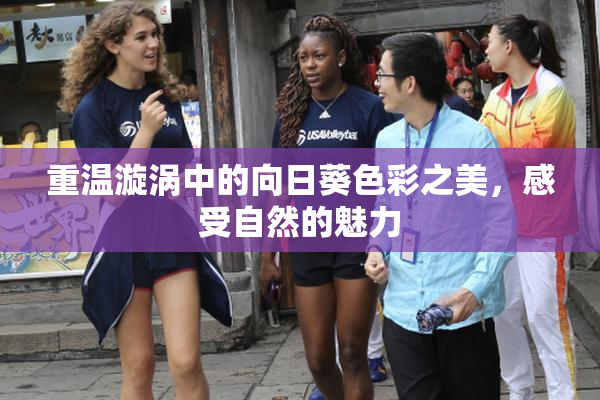 重温漩涡中的向日葵色彩之美，感受自然的魅力