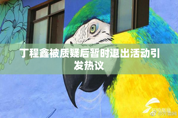 丁程鑫被质疑后暂时退出活动引发热议