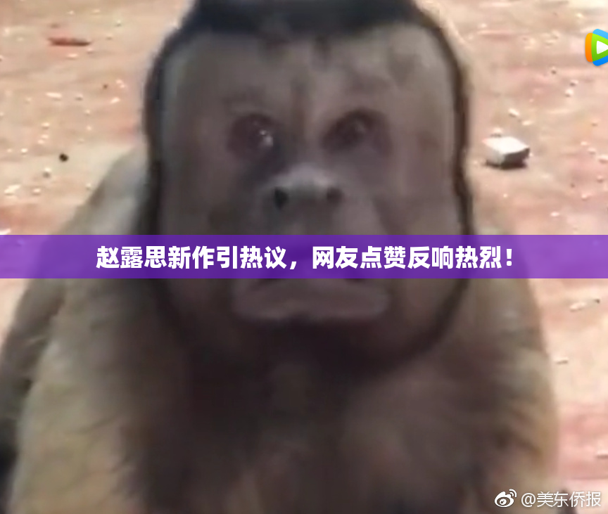 赵露思新作引热议，网友点赞反响热烈！