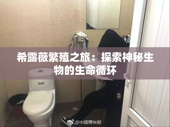 希露薇繁殖之旅：探索神秘生物的生命循环