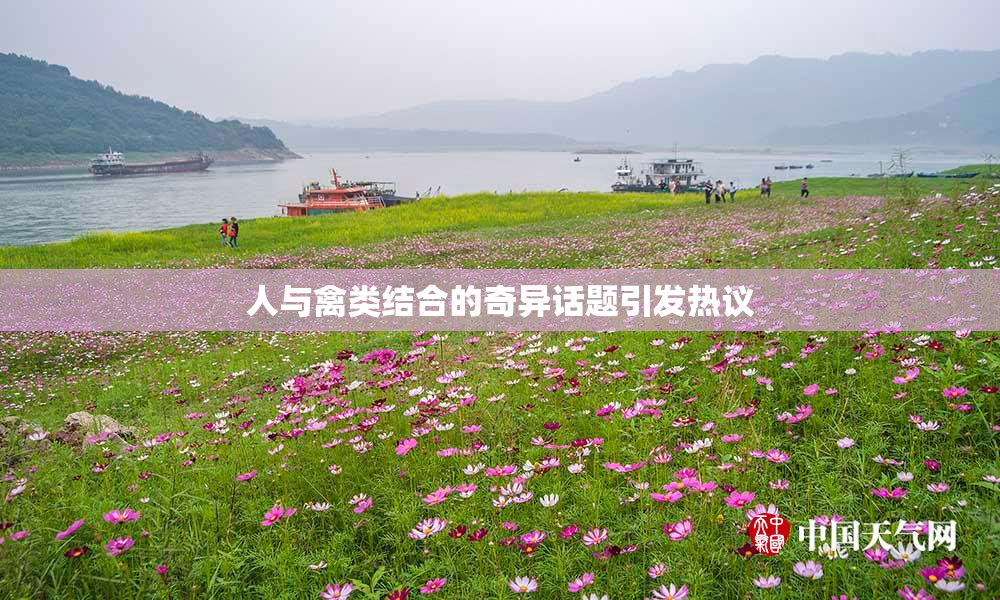 人与禽类结合的奇异话题引发热议