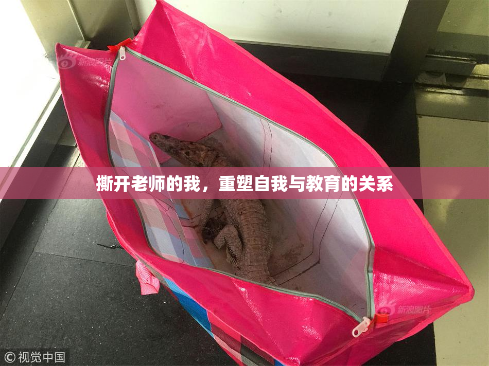 撕开老师的我，重塑自我与教育的关系