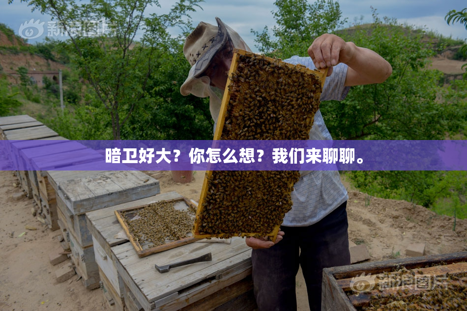 暗卫好大？你怎么想？我们来聊聊。
