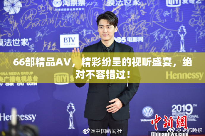 66部精品AV，精彩纷呈的视听盛宴，绝对不容错过！