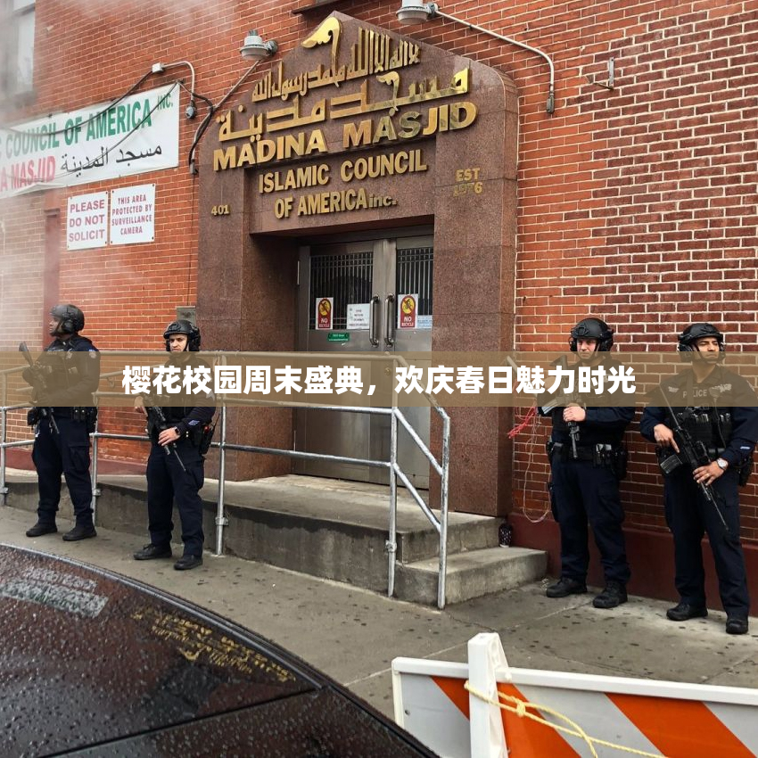 樱花校园周末盛典，欢庆春日魅力时光