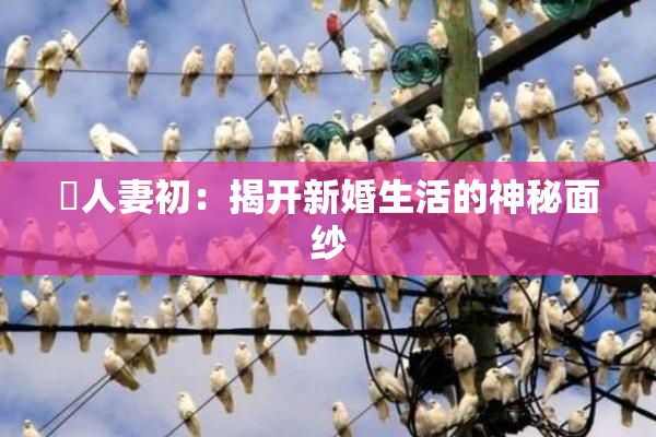 巜人妻初：揭开新婚生活的神秘面纱