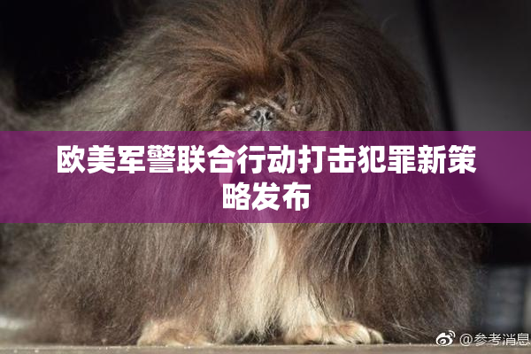 欧美军警联合行动打击犯罪新策略发布