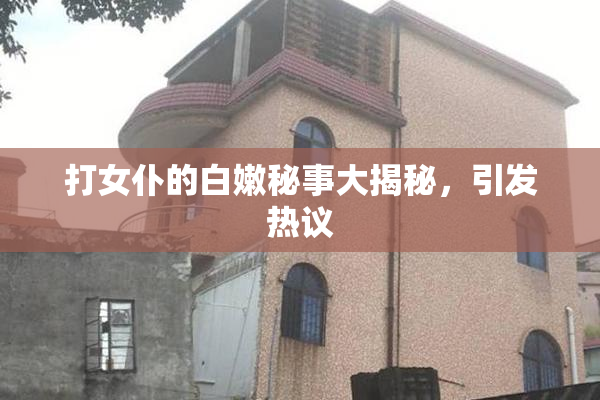 打女仆的白嫩秘事大揭秘，引发热议