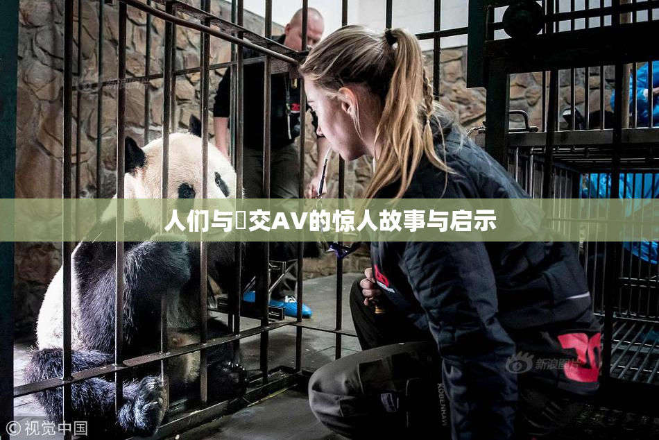 人们与嘼交AV的惊人故事与启示