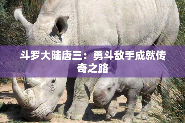 斗罗大陆唐三：勇斗敌手成就传奇之路