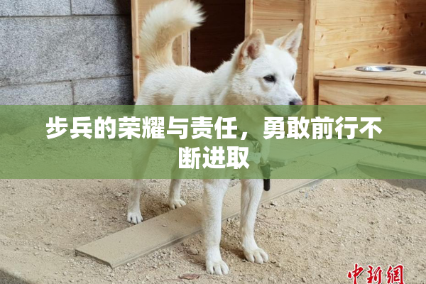 步兵的荣耀与责任，勇敢前行不断进取