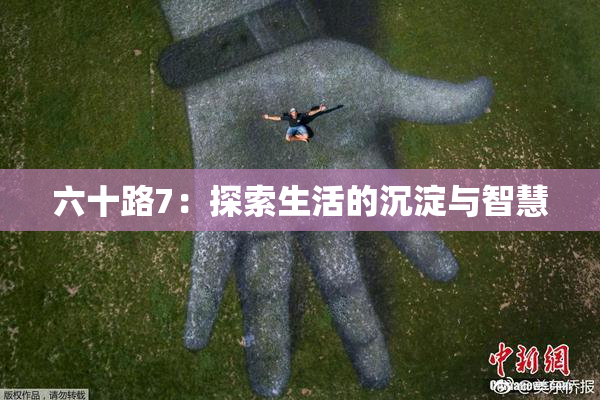 六十路7：探索生活的沉淀与智慧