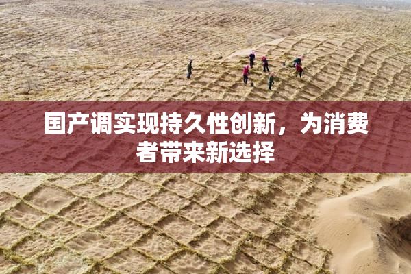 国产调实现持久性创新，为消费者带来新选择