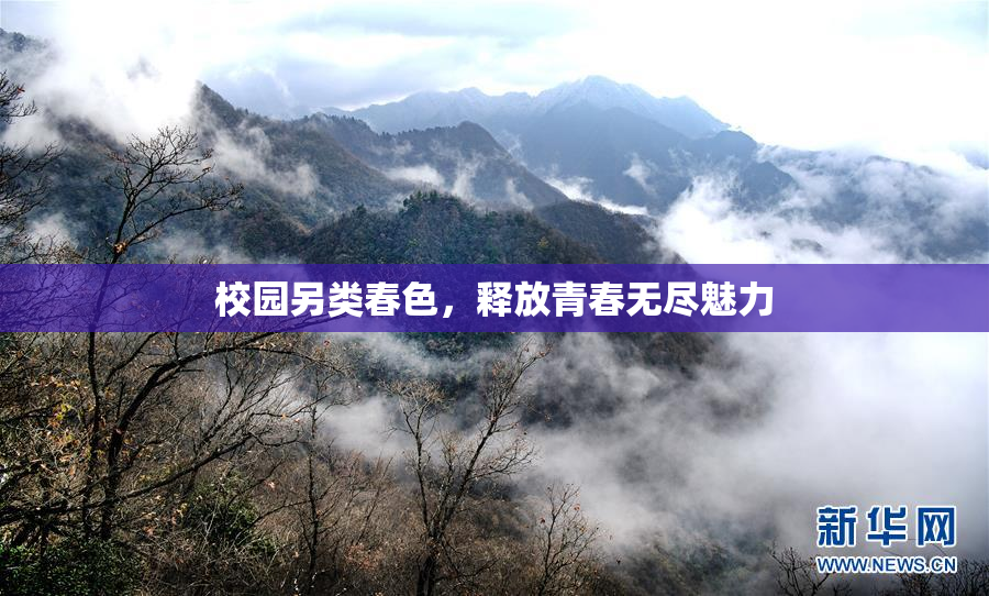 校园另类春色，释放青春无尽魅力
