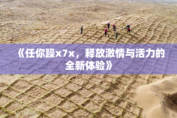 《任你躁x7x，释放激情与活力的全新体验》