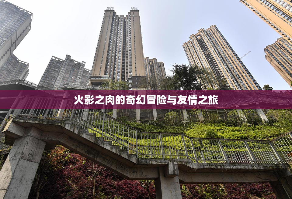 火影之肉的奇幻冒险与友情之旅