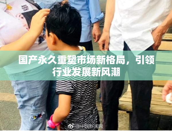 国产永久重塑市场新格局，引领行业发展新风潮