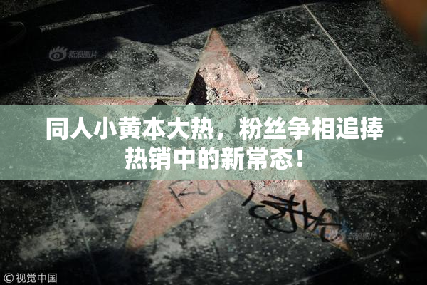 同人小黄本大热，粉丝争相追捧热销中的新常态！