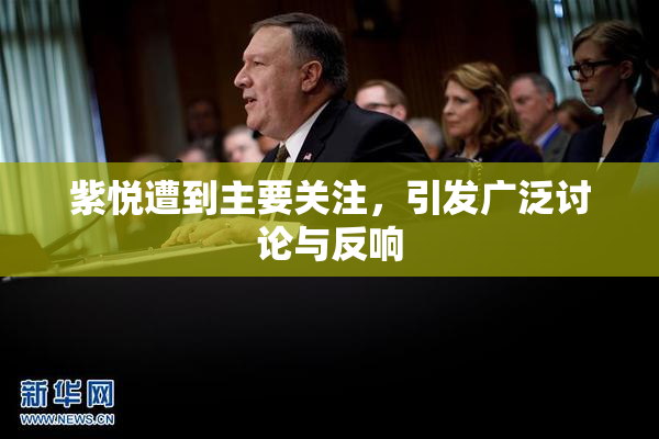 紫悦遭到主要关注，引发广泛讨论与反响