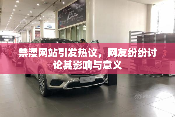 禁漫网站引发热议，网友纷纷讨论其影响与意义