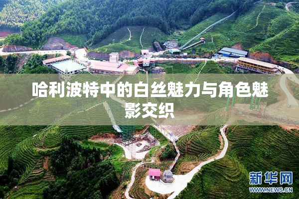 哈利波特中的白丝魅力与角色魅影交织