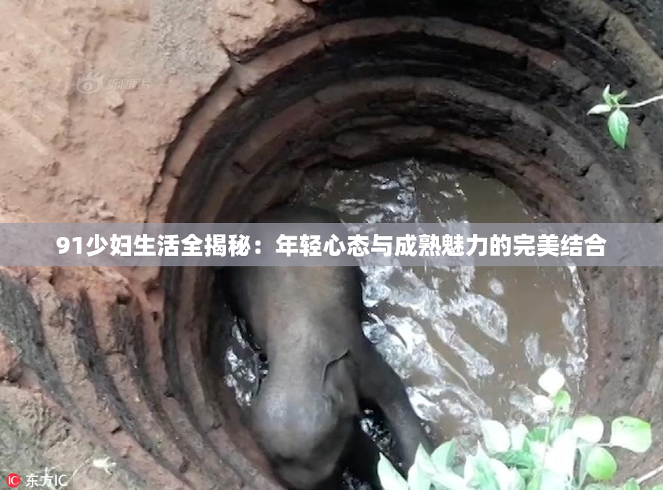 91少妇生活全揭秘：年轻心态与成熟魅力的完美结合