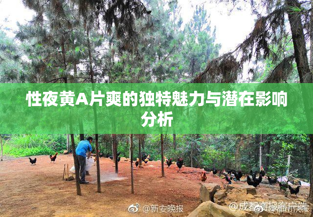 性夜黄A片爽的独特魅力与潜在影响分析