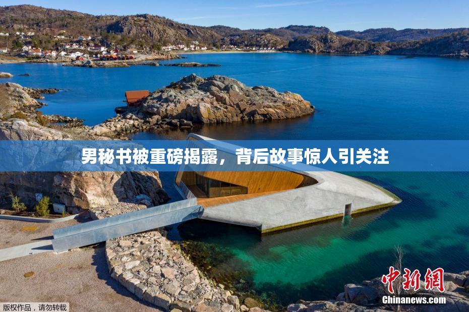 男秘书被重磅揭露，背后故事惊人引关注
