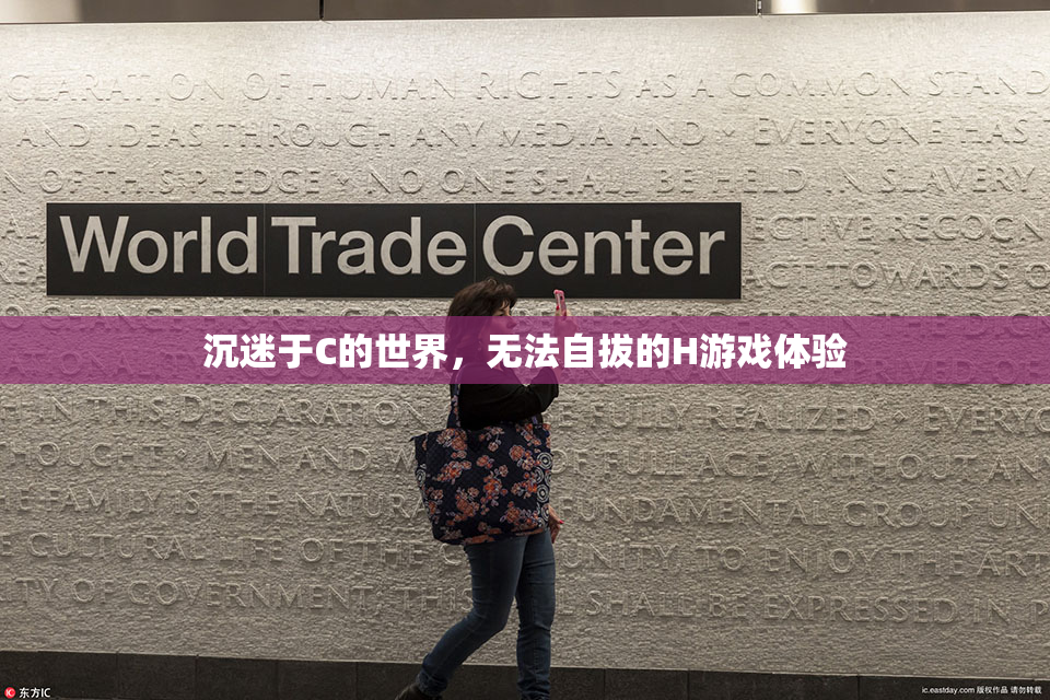 沉迷于C的世界，无法自拔的H游戏体验