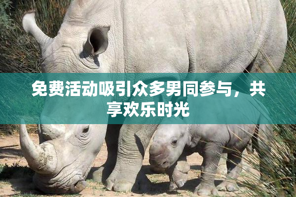 免费活动吸引众多男同参与，共享欢乐时光