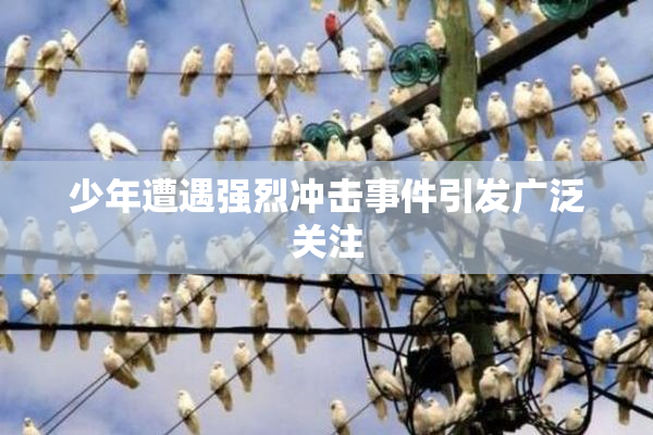 少年遭遇强烈冲击事件引发广泛关注