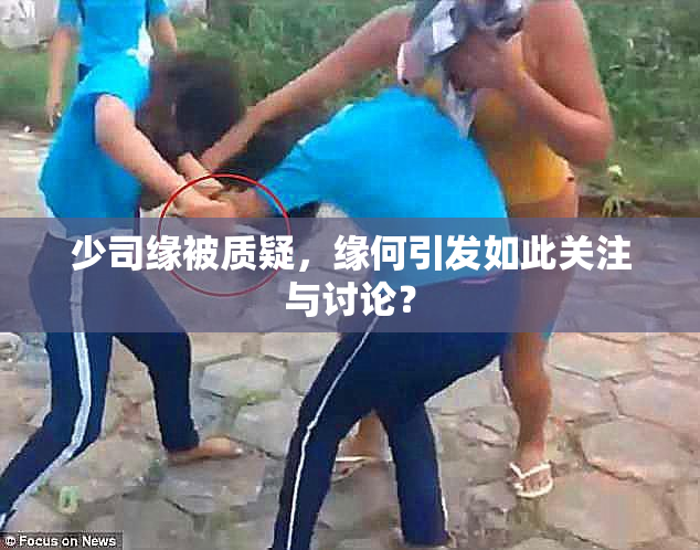少司缘被质疑，缘何引发如此关注与讨论？