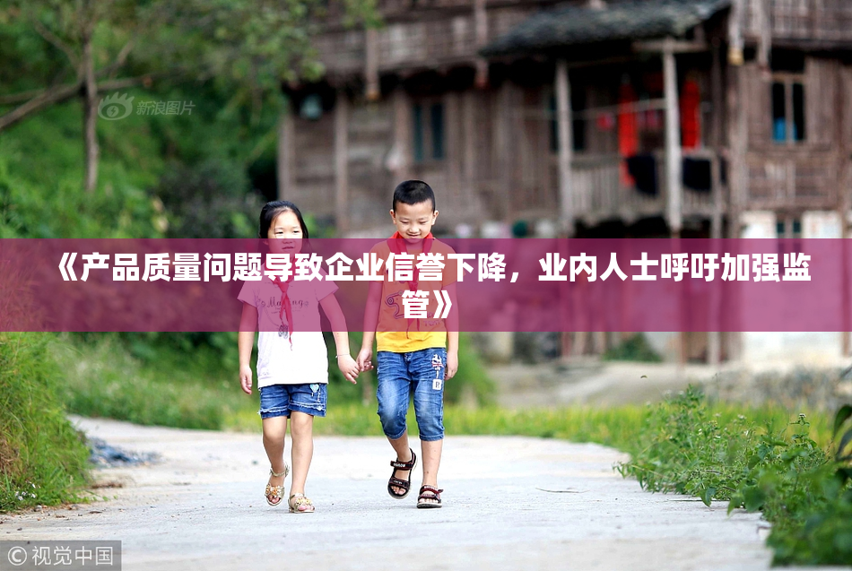 《产品质量问题导致企业信誉下降，业内人士呼吁加强监管》