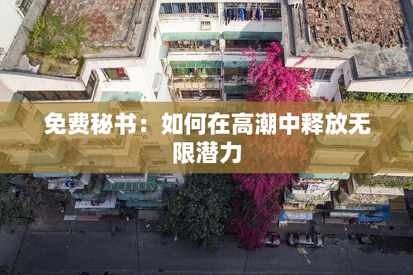 免费秘书：如何在高潮中释放无限潜力